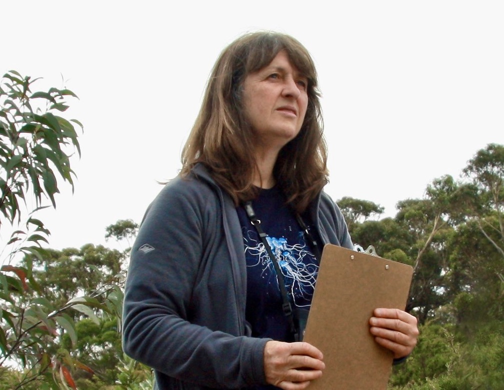 Birding guide Carol Probets counting Regent Honeyeaters