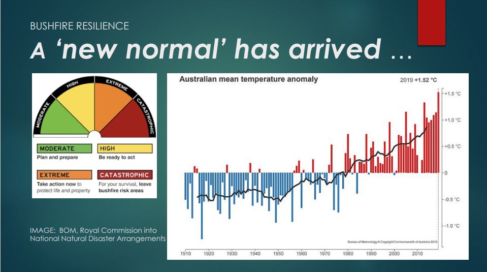 average temperature graph