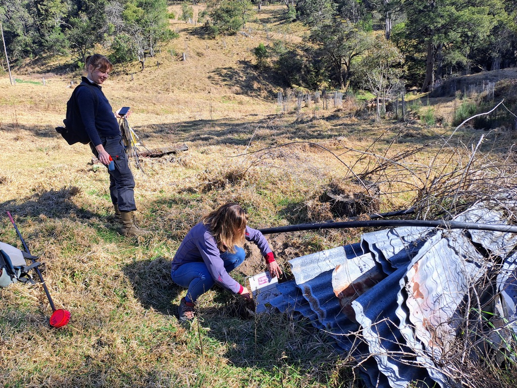 checking wombat burrows