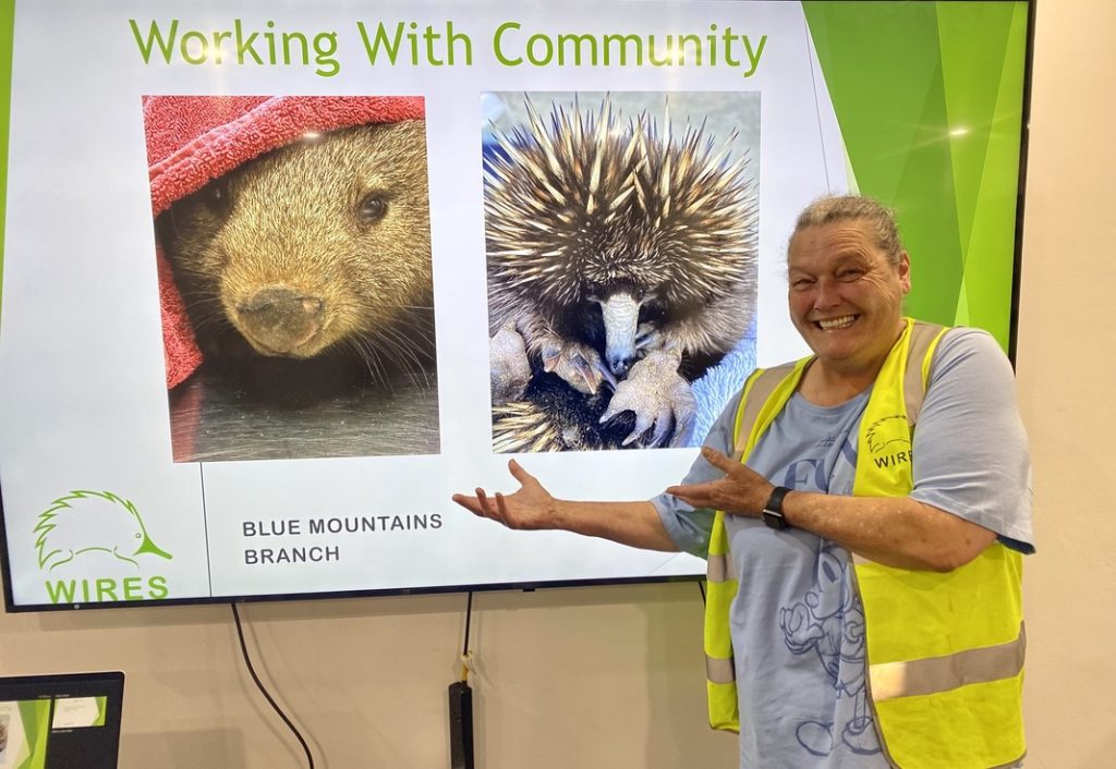 Tracy Burgess presenting the Wildlife Emergency Assistance Workshop