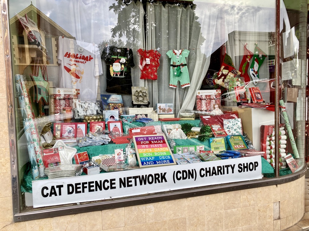 cat defence network op shop in katoomba
