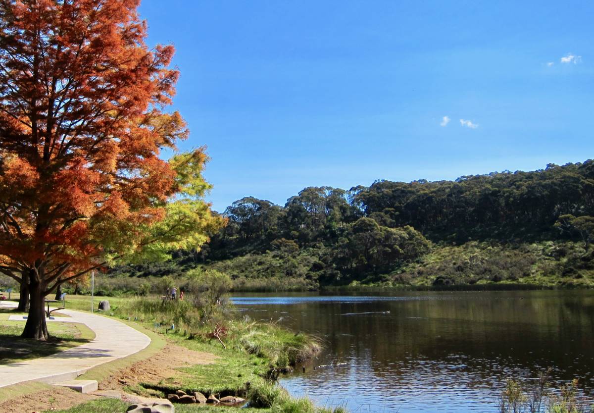 wentworth falls lake
