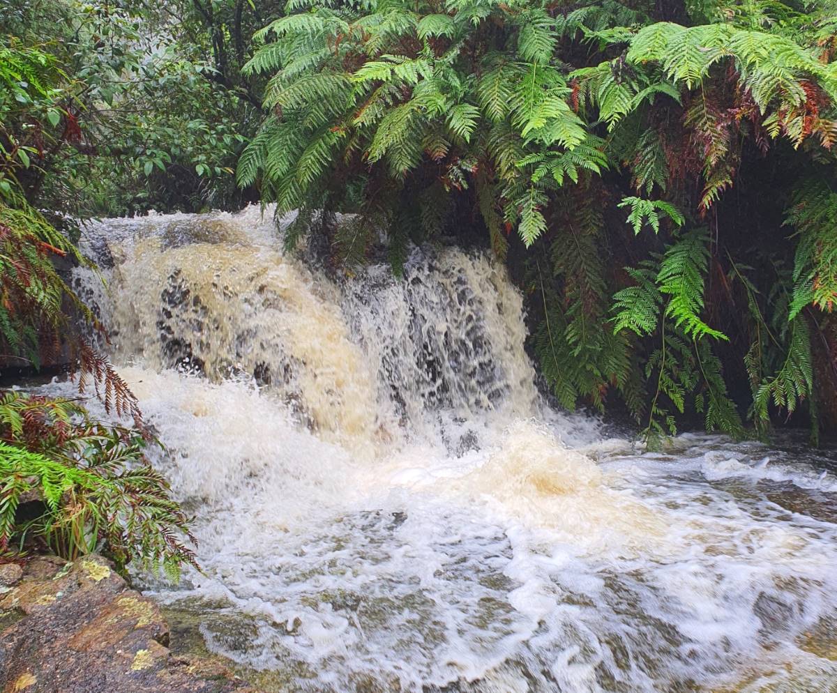 leura cascades