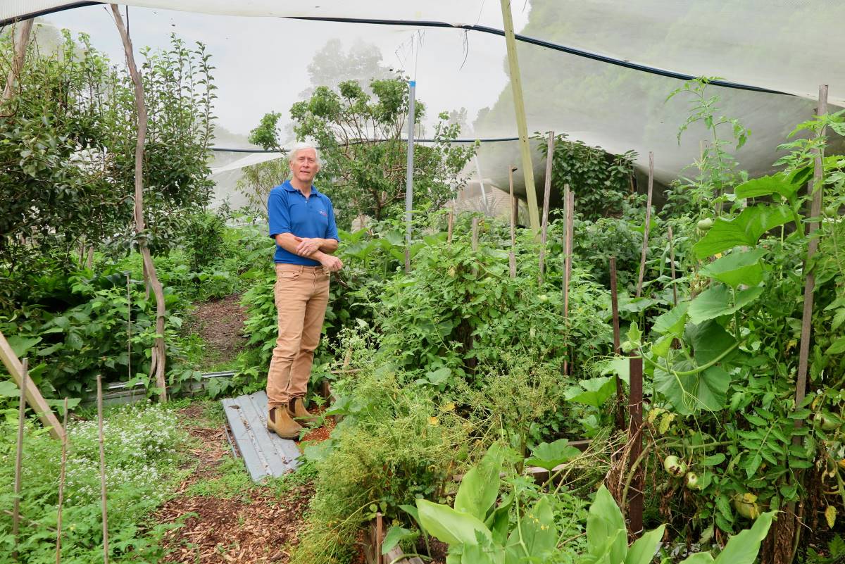 biodiverse garden in the blue mountains