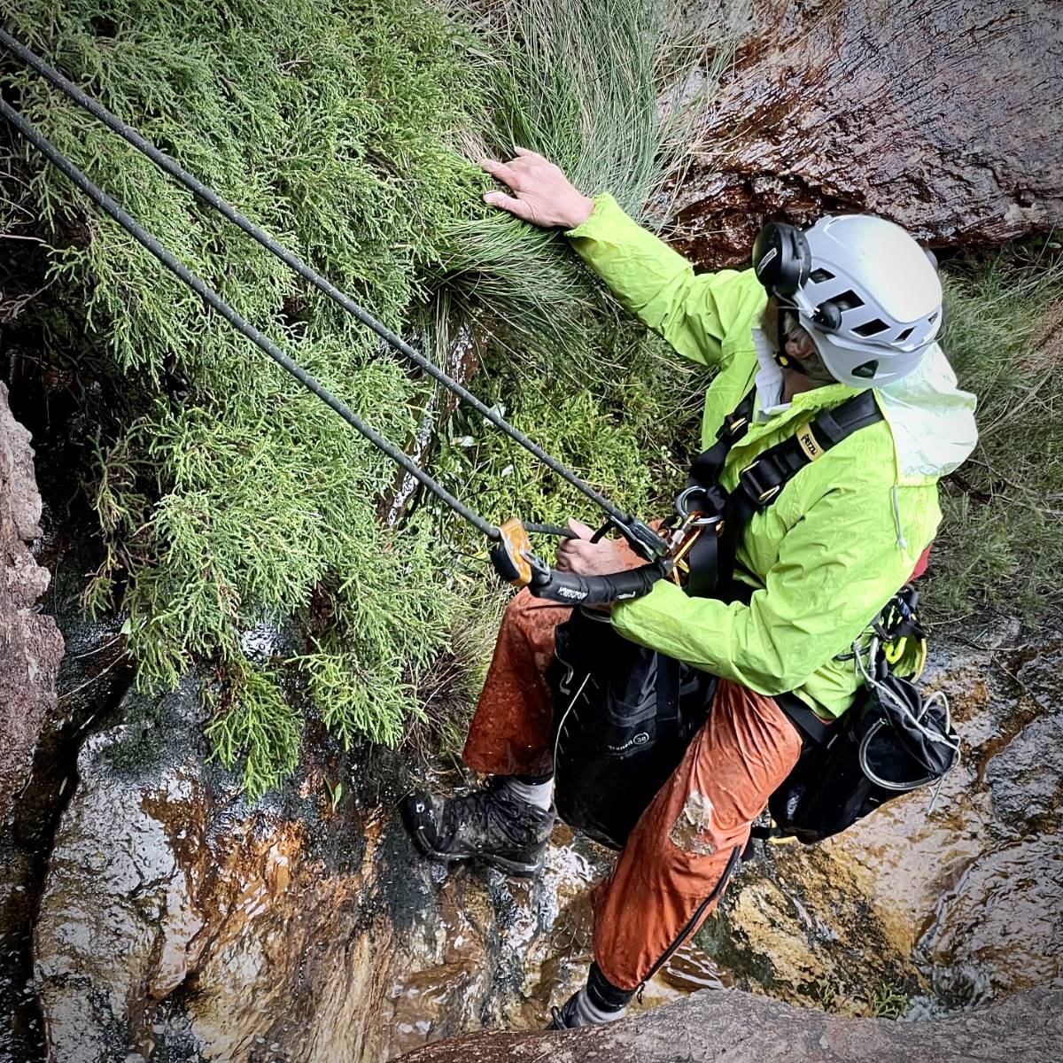 Ian Brown monitoring the dwarf mountain pine