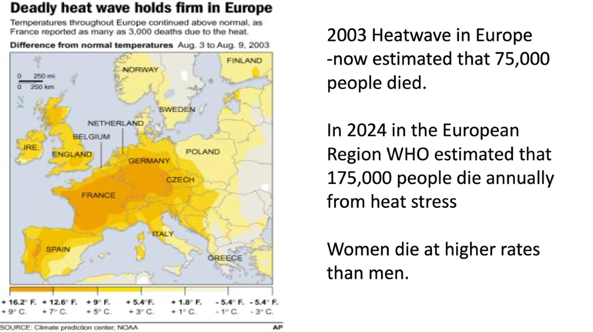 2003 heatwave map