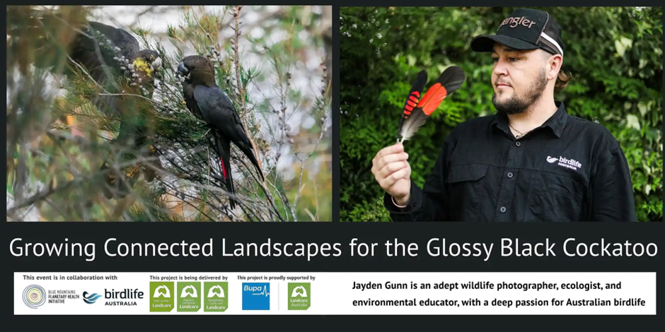 Glossy black cockatoo workshop flyer